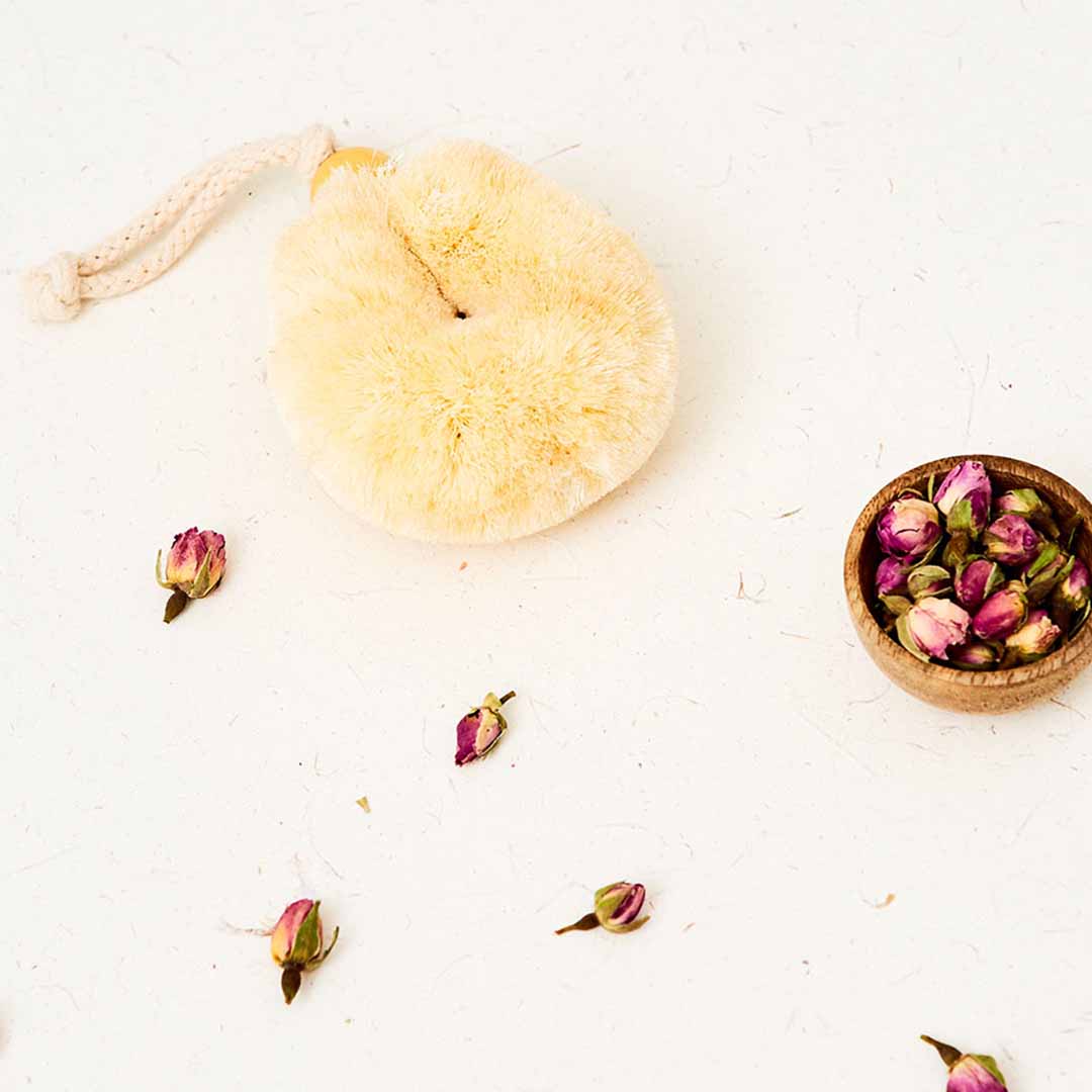 Ecomax Palm Body Brush