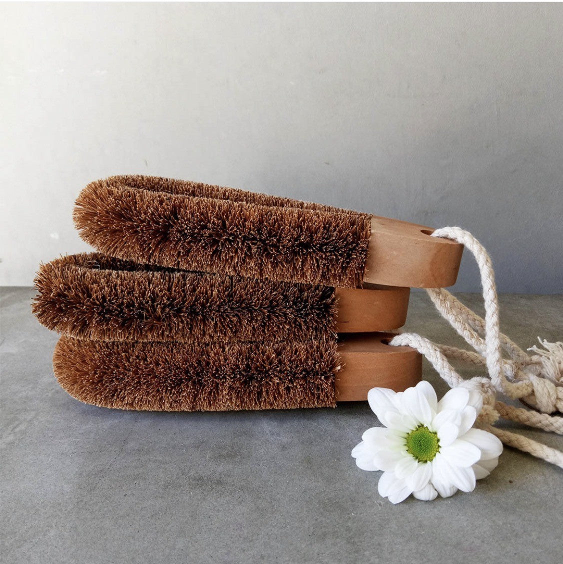 Ecomax Foot Brush